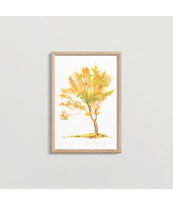 Japanese Tree 29 prix pour 