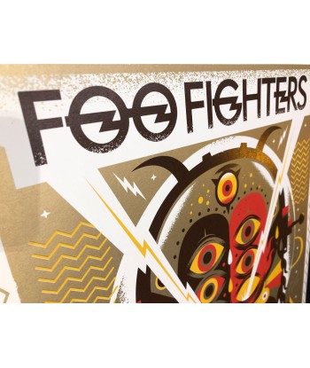 Foo Fighters (Paris 2015) de l' environnement