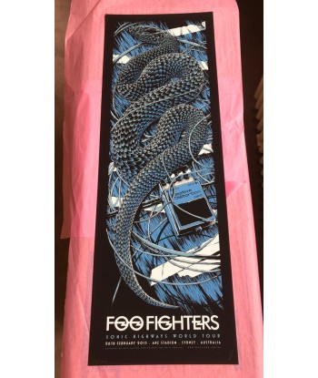 Foo Fighters (Sydney 2015) hantent personnes