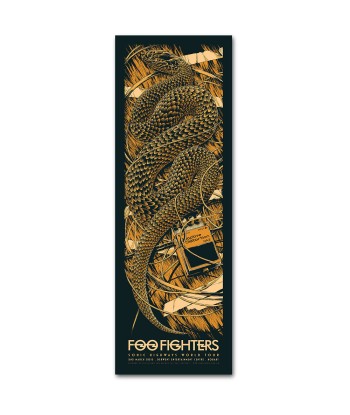 Foo Fighters (Hobart 2015) online