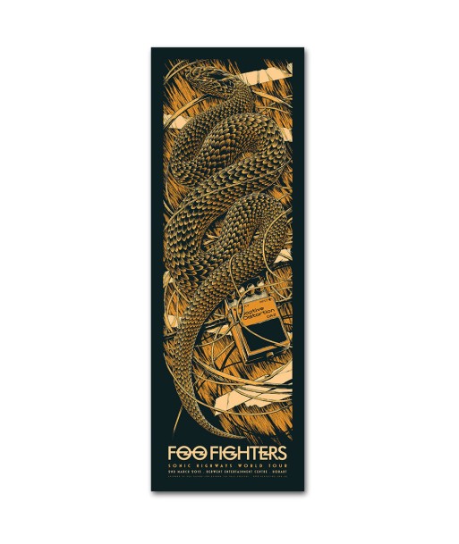 Foo Fighters (Hobart 2015) online