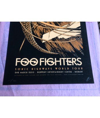 Foo Fighters (Hobart 2015) online