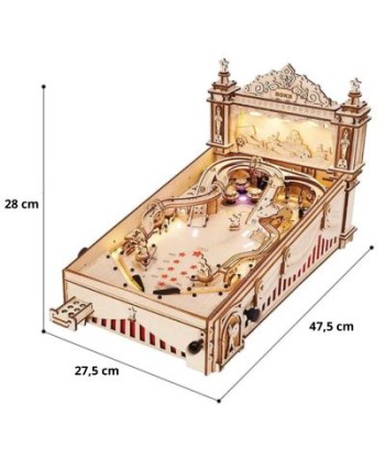 Le Flipper Pinball de l' environnement