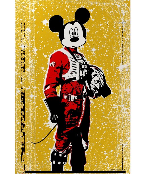 Mickey Skywalker suggérées chez