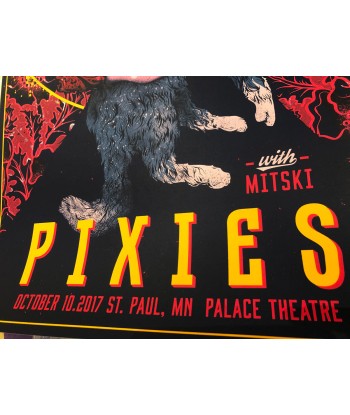 Pixies (St. Paul, 2017) Economisez 