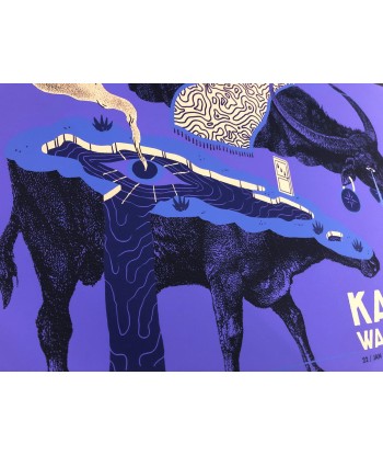 Kamasi Washington (Guadalajara 2020) votre