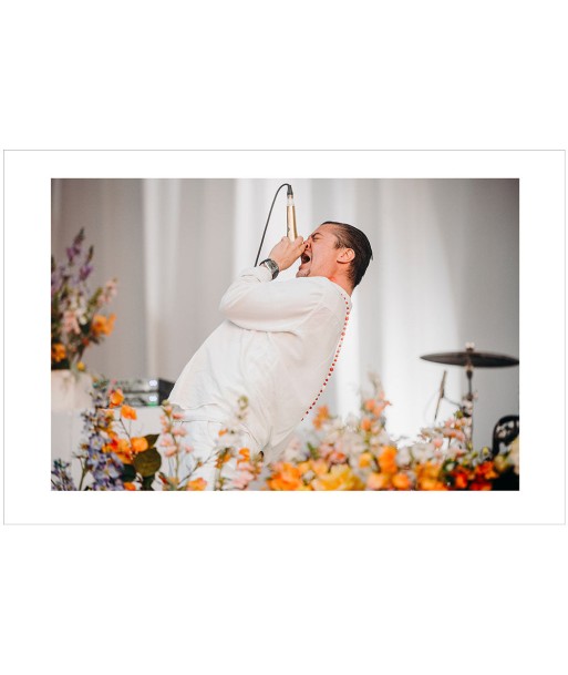 Mike Patton (Faith no More), Hellfest 2015 Dans la société mordern