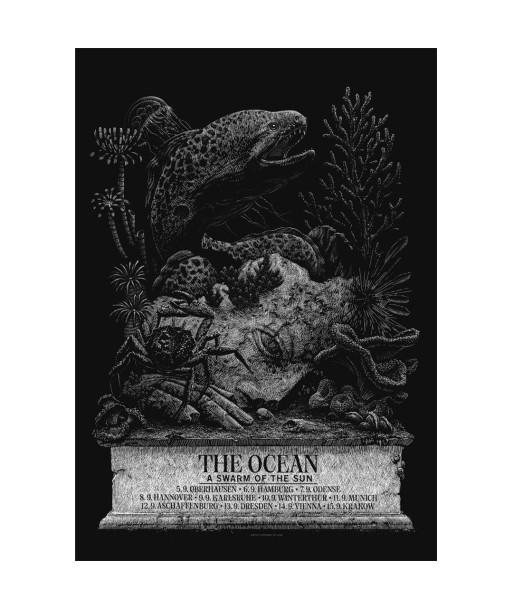 The Ocean (Europe 2024) Economisez 