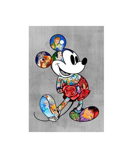 Broderie Diamant  Mickey Univers Disney Paris Déstockage Promo