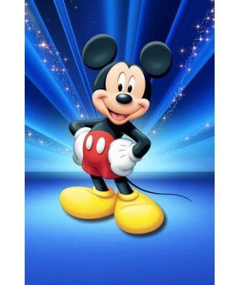 Broderie Diamant  Mickey la Souris Star de France