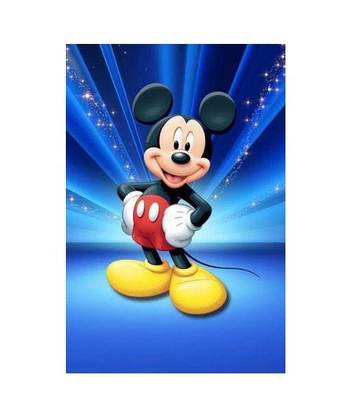 Broderie Diamant  Mickey la Souris Star de France