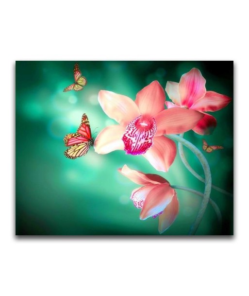 Broderie Diamant  Orchidée Rose et Papillon Pour