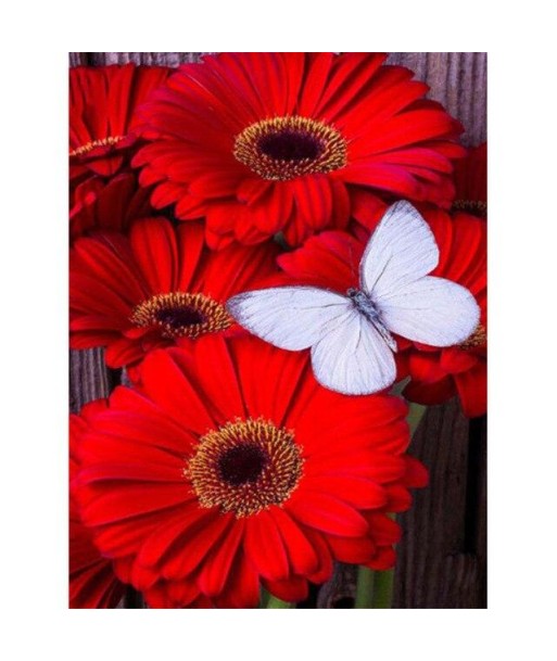 Broderie Diamant  Gerbera Rouge et Papillon est présent 