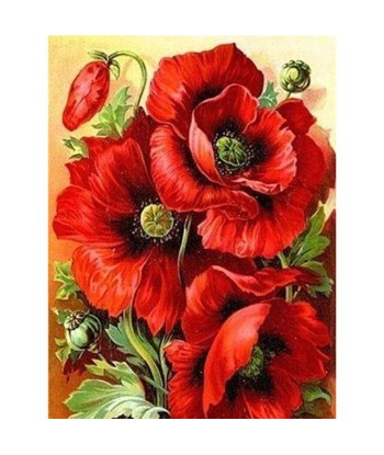 Broderie Diamant  Peinture Coquelicots Comparez plus de prix