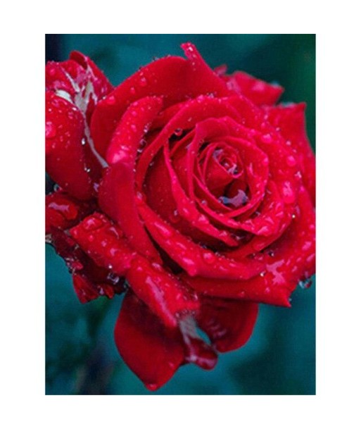 Broderie Diamant  Rose Rouge et Goutte d'Eau le concept de la Pate a emporter 