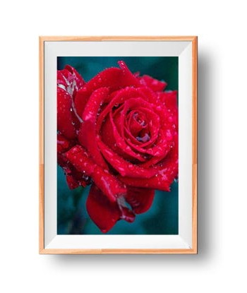 Broderie Diamant  Rose Rouge et Goutte d'Eau le concept de la Pate a emporter 