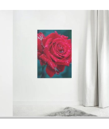 Broderie Diamant  Rose Rouge et Goutte d'Eau le concept de la Pate a emporter 