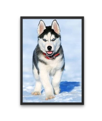 Broderie Diamant  Chiot Husky et Neige Economisez 