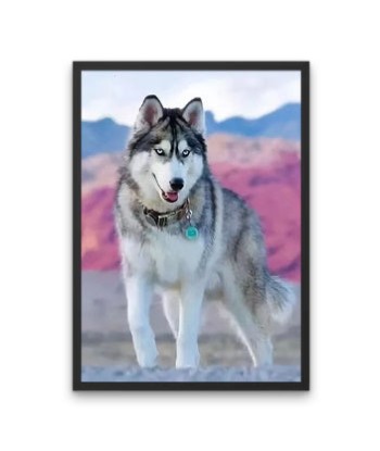 Broderie Diamant  Chien Husky et Décor Rose pas cher 