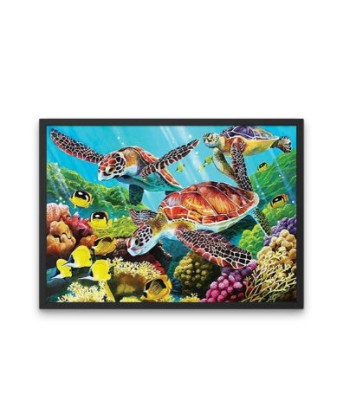 Broderie Diamant  Tortues et Poissons chez Cornerstreet bien 