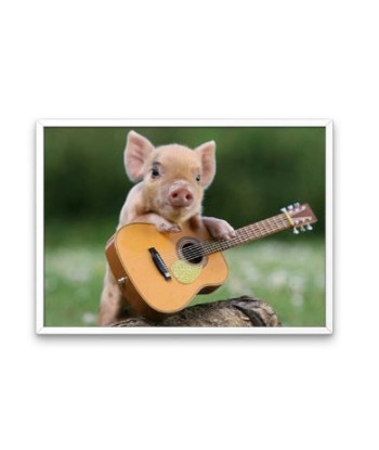 Broderie Diamant  Cochon joue de la Guitare Vous souhaitez 