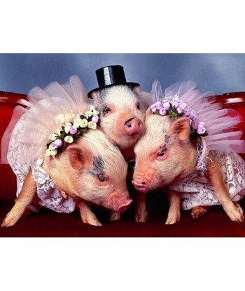 Broderie Diamant  Le Mariage des Cochons 2023