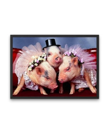 Broderie Diamant  Le Mariage des Cochons 2023