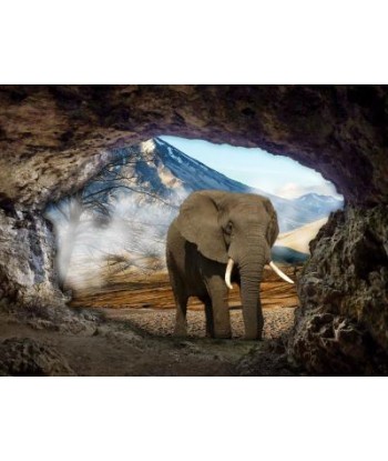 Broderie Diamant  Éléphant dans la Grotte 2 - 3 jours ouvrés.