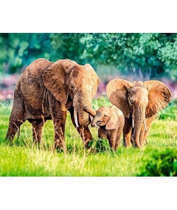 Broderie Diamant  Famille d'Éléphants livraison et retour toujours gratuits