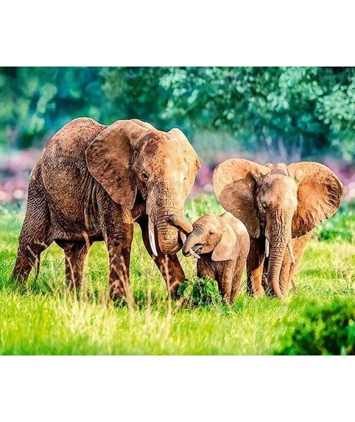 Broderie Diamant  Famille d'Éléphants livraison et retour toujours gratuits