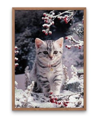 Broderie Diamant  Chaton dans la Neige sur le site 