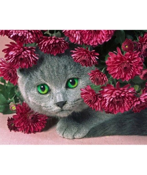 Broderie Diamant  Chat et Fleurs Rouges 50-70% off 