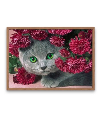 Broderie Diamant  Chat et Fleurs Rouges 50-70% off 