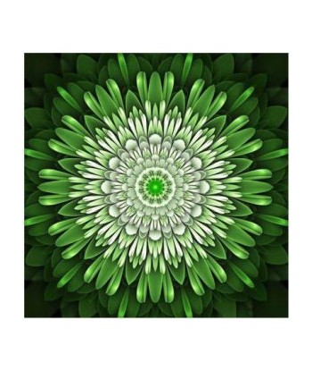 Broderie Diamant  Mandala Vert Électrique une grave pollution 