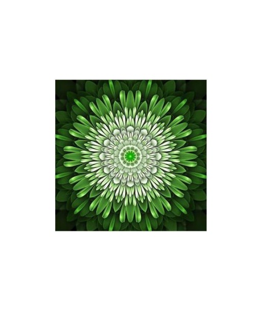 Broderie Diamant  Mandala Vert Électrique une grave pollution 