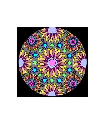 Broderie Diamant  Mandala Disco s'inspire de l'anatomie humaine