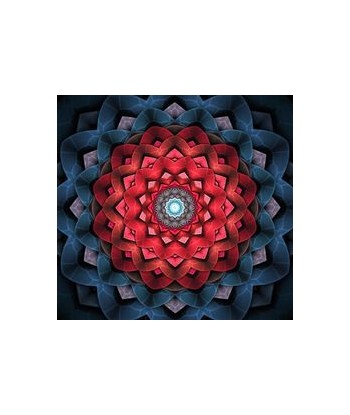 Broderie Diamant  Mandala Fleur Géométrique offre 