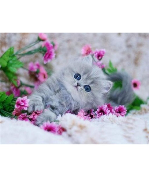 Broderie Diamant  Chaton Fleuri 2023