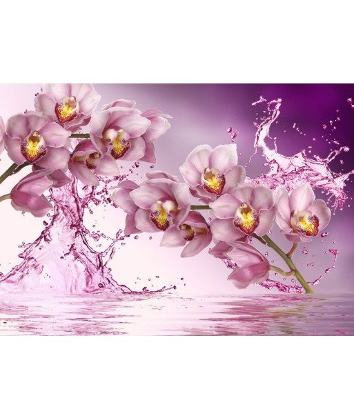 Broderie Diamant  Orchidées Rafraichissantes Les êtres humains sont 