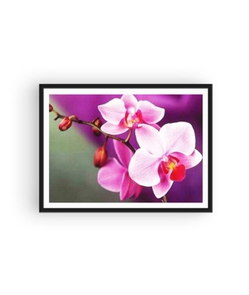 Broderie Diamant  Orchidée Naissante pas cher 