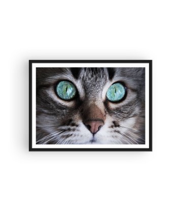 Broderie Diamant  Chat Yeux Bleu Azur la chaussure