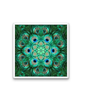 Broderie Diamant  Mandala Paon pas cher 