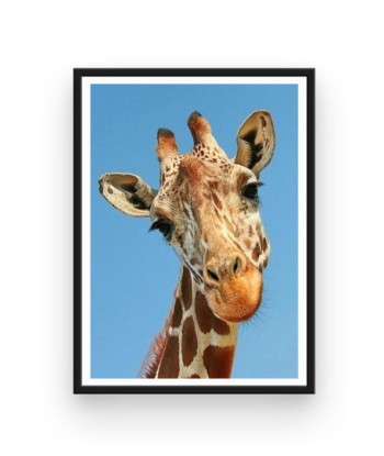 Broderie Diamant  Girafe Majestueuse commande en ligne