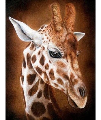 Broderie Diamant  Girafe Portrait français