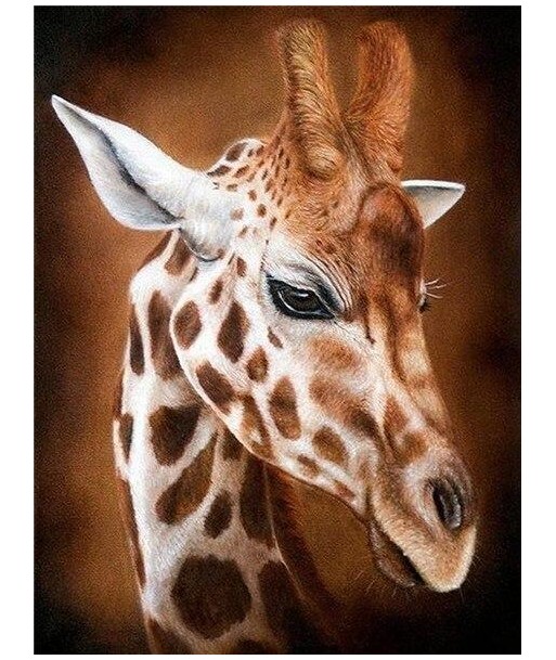 Broderie Diamant  Girafe Portrait français