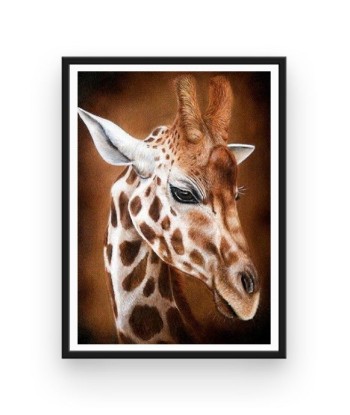 Broderie Diamant  Girafe Portrait français