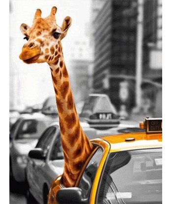 Broderie Diamant  Girafe Taxi 2023