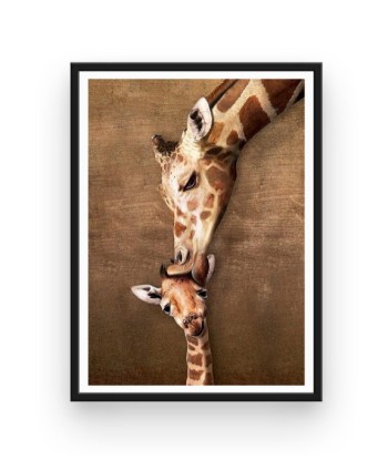 Broderie Diamant  Bisou de Girafe livraison gratuite