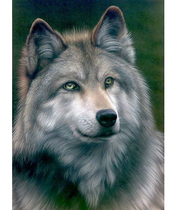 Broderie Diamant  Loup Portrait l'achat 