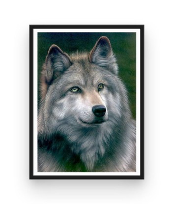 Broderie Diamant  Loup Portrait l'achat 